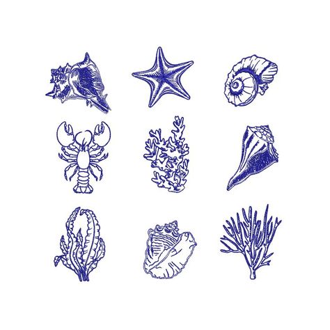 Embroidery Design Pattern, La Tattoo, Art Coquillage, Ocean Fish, Chinoiserie Chic, Screen Saver, Simplistic Tattoos, Piercing Tattoo, Sea Shell