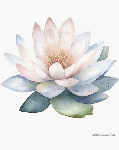 A watercolor design for a water lily flower Water Lily Colors, Round Watercolor Paintings, Watercolor Water Lily, Water Lily Drawing, Lily Watercolor, Water Lily Tattoos, Water Lily Flower, Lilies Drawing, White Lily Flower