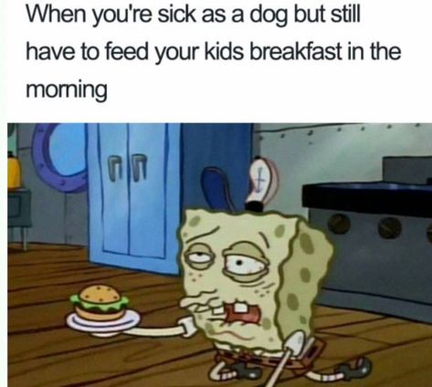 When you're sick as a dog but still have to.... Funny Kids Quotes, Sick Meme, Kids Quotes, Funny Quotes For Kids, Mom Memes, Memes Hilarious, Memes Sarcastic, Parenting Memes, Clean Humor