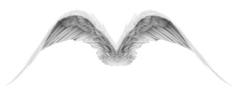 Anime Angel Wings, Angel Wings Gif, Wings Gif, Wings Background, Angel Gif, Background Gif, Wings Png, Rose Sticker, Pixel Animation