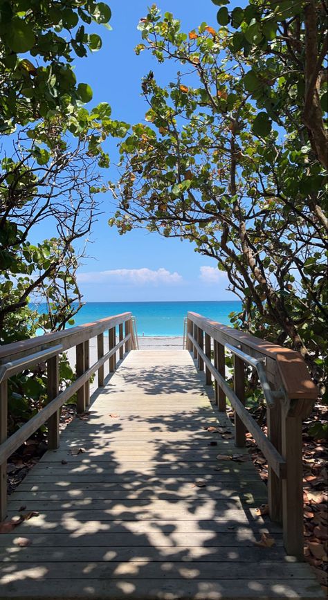 Jupiter beach Florida beach stairs outdoor ocean beach stairs aesthetic blue beach Blue ocean water beach aesthetic summer Water Beach Aesthetic, Jupiter Beach Florida, Stairs Aesthetic, Stairs Outdoor, Beach Stairs, Sunny Beach Day, Jupiter Beach, Beach House Aesthetic, Calming Pictures