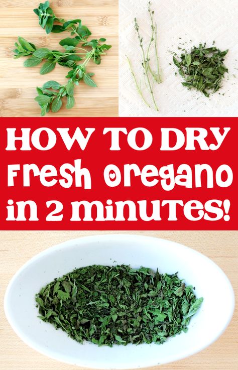 Drying Herbs in the Microwave - How to Dry Oregano - This simple trick is so quick, and the herbs retain their gorgeous, vibrant color!  Plus... it works for other herbs, too!  Go check out the easy step-by-step instructions, and give it a try this week! Using Fresh Oregano, Preserving Fresh Oregano, Dry Oregano How To, How To Freeze Fresh Oregano, What To Do With Fresh Oregano, Drying Herbs In Microwave, Drying Oregano Fresh Herbs, Freezing Oregano, How To Dry Oregano Leaves