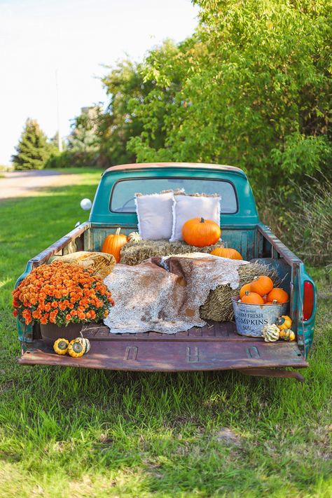 Pumpkins, photography setup, old truck photo, fall family photos, old truck fall photos Back Of Truck Fall Photoshoot, Old Truck Fall Pictures, Old Truck Fall Decorations, Fall Mini Truck Sessions, Old Truck Decorated For Fall, Antique Truck Fall Photoshoot, Fall Photoshoot With Old Truck, Back Of Pickup Photoshoot, Fall Truck Pictures