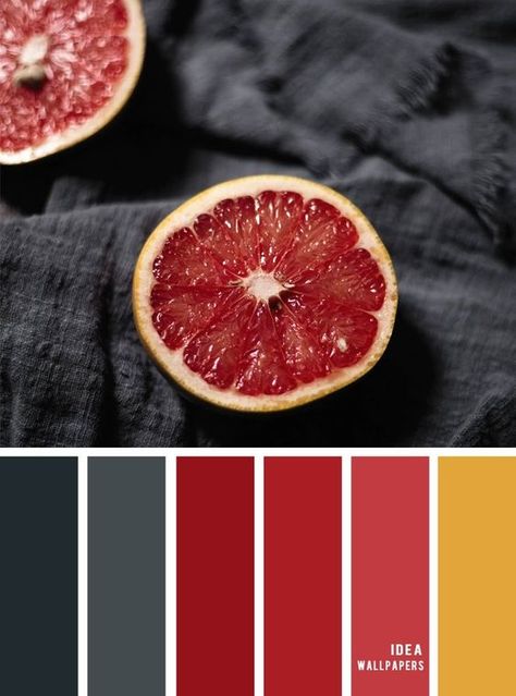 Palette Design, Red Colour Palette, Color Schemes Colour Palettes, Color Palate, Color Palette Design, Color Balance, Wallpapers Iphone, Color Inspo, Colour Board