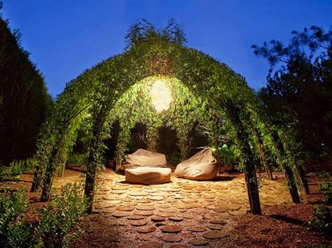 Living Willow, Willow Branches, Have Inspiration, Garden Structures, Outdoor Projects, Dream Garden, Keep On, Garden And Yard, Green Thumb