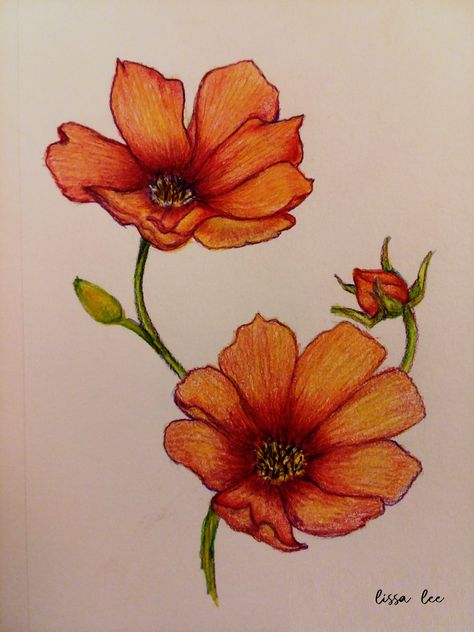 Flower Drawing In Color, Floral Drawing Colored Pencil, Colored Pencil Flowers Step By Step, Flower Art Colored Pencil, Floral Colored Pencil Art, Coloured Flowers Drawing, Flower Doodles Colored Pencil, Flower Drawings Realistic, Colour Pencil Flower Art