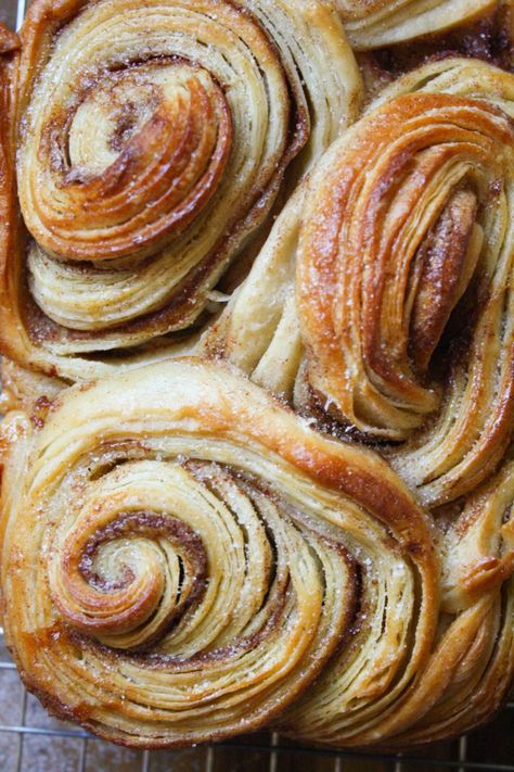 Crossaint Cinnamon Rolls, Fancy Baked Goods, Spring Baked Goods, Fancy Bread, Winter Sweets, Baking Pastries, Crossant Recipes, Cinnamon Honey, Pull Apart Bread