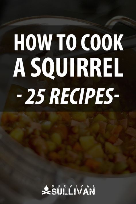 Over two dozen squirrel recipes you may be forced to try post-SHTF, when regular meat may not be available. #recipe #survival #shtf #squirrel Squirrel Stew Crockpot, Grilled Squirrel Recipes, How To Cook Squirrel Recipes, Recipes For Rabbit Meat, How To Cook Squirrel, Squrriel Recipes, Squirrel Recipes Easy, Squirrel Recipe, Squirrel Stew