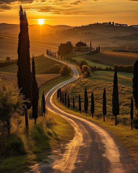 Photo gratuite une route photoréaliste m... | Free Photo #Freepik #freephoto #nature #route #beau #plein-air Landscape Photos Nature, Tuscany Art, Tuscany Countryside, European Landscape, France Landscape, Vintage Foto's, Tuscany Landscape, Best Nature Images, Italy Landscape