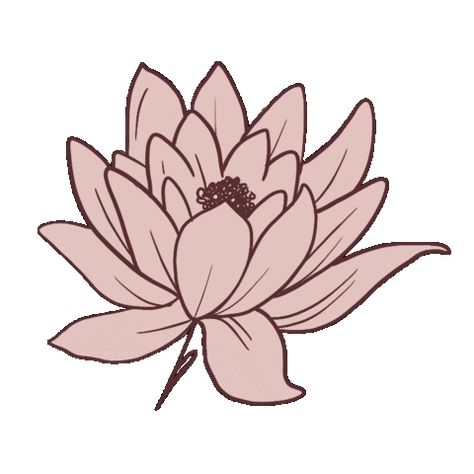 Flower Growing Animation, Lotus Drawing, Love Heart Gif, Heart Gif, Instagram Ideas Post, Drawing Videos, Instagram Ideas, Flower Illustration, Blossom Flower