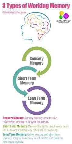 Types of Memory: Working Memory Tied to Your Child's Intelligence - Integrated Learning Strategies Memory Psychology, Glenn Doman, Types Of Memory, Integrated Learning, Executive Functioning Skills, Executive Function, Learning Tips, Working Memory, Parenting Strategies