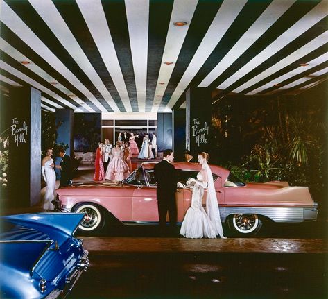 Beverly Hills Hotel 1950’s Old Hollywood Aesthetic, Hollywood Aesthetic, The Beverly Hills Hotel, Old Hollywood Wedding, Vintage Hollywood Glamour, Hollywood Wedding, Beverly Hills Hotel, Old Hollywood Glam, Carlo Scarpa