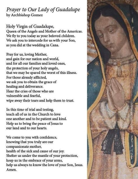 Mary Of Guadalupe, Lady Guadalupe, Catholic Pictures, Virgin Of Guadalupe, Health Psychology, Spiritual Prayers, Praying The Rosary, Special Prayers, Blessed Mother Mary