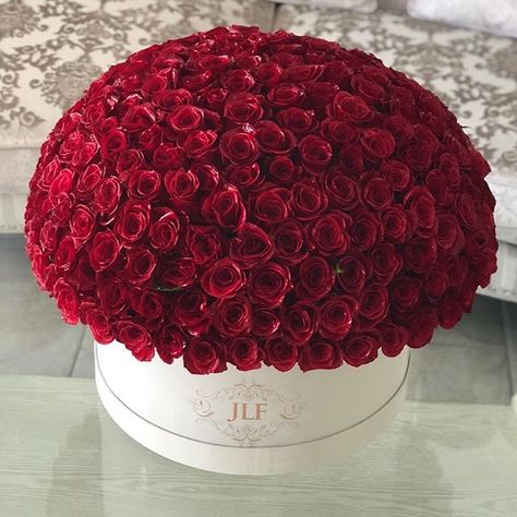 The JLF Grandiose Box is the biggest box we carry thus far! It is extravagant in size  Here is 200 fresh red roses in the Grandiose box #JLF #grandiose #jadorelesfleurs #roses #love Roses Bouquet Big, Giant Bouquet Of Roses, Red Roses In A Box, Luxury Flower Box Roses, Dozen Red Roses, Red Rose Bouquet, Roses Bouquet, Bridal Shower Centerpieces, Flowers Bouquet Gift