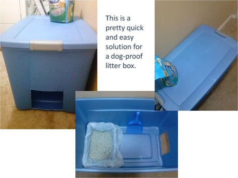 easy and quick solution for dog proof litter box, cleaning tips, pets animals, repurposing upcycling Dog Proof Litter Box, Diy Litter Box, Dog Litter Box, Litter Box Ideas, Pet Recipes, Large Storage Bins, Cat Cleaning, Pet People, Cat Houses