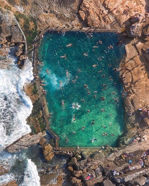 Swimming With Dolphins, Sydney Beaches, Aerial Photography Drone, Aerial Images, Ocean Landscape, Drone Photos, Destination Voyage, Rock Pools, Drone Photography