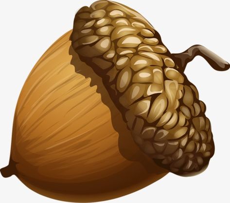 Acorn Image, Acorn Painting, Cartoon Trees, Photo Clipart, Free Clipart, Autumn Art, Photo Backgrounds, Fall Crafts, Png Image