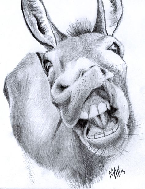 Donkey Face Drawing, Donkey Drawings Easy, Donkey Head Drawing, Goat Drawings, Donkey Sketch, Donkey Pencil Drawing, Donkey Line Art, Donkey Pics, Donkey Tattoo