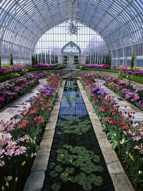 'Como Park Conservatory, St. Paul, Minnesota, USA' Photographic Print | Art.com Hyrule Castle, St Paul Minnesota, Kids Discover, Pool Ideas, Futuristic Architecture, Wedding Color, St Paul, Dream House Decor, Beautiful Architecture