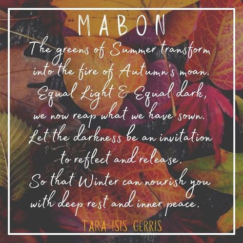 Autumnal Equinox Quotes, Autumn Equinox Quotes, Fall Equinox Quotes, Cycles In Nature, Witch Holidays, Deep Rest, New Month Quotes, Autumnal Equinox, Autumn Magic