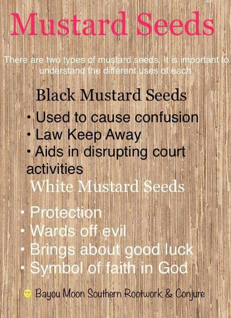 Mustard Seed Magical Properties, Mustard Seed Benefits, Spell Herbs, Hoodoo Conjure Rootwork, Witch Ideas, Hearth Witch, Hoodoo Magic, Hoodoo Conjure, Black Mustard Seeds