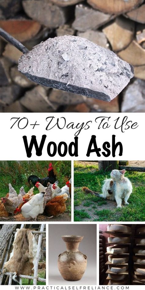 70+ Wood Ash Uses for Garden, Chicken, Compost, Soap, & More - There are so many ways to use wood ashes in the garden, DIY chicken dust bath ideas, how to make wood ash soap, clay, cement, and adding wood ash to compost. I've discovered over 70 excellent uses for wood stove ash that you're never going to believe until you try them yourself. If you're looking for DIY zero waste ideas for your off grid cabin or homestead, interested in bushcraft or primitive survival, this is for you. Dust Bath, Homesteading Diy, Primitive Survival, Wood Ash, Homesteading Skills, Free Woodworking Plans, Homestead Survival, Woodworking Plans Free, Survival Prepping