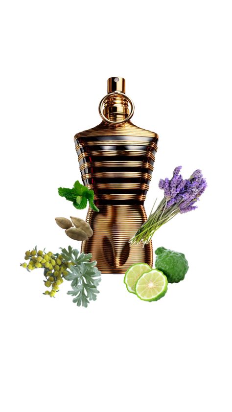 This is a sweet masculine scent that doesn’t only boost your confidence but gets you compliments Elixir Aesthetic, Le Male Elixir, Jean Paul Gaultier Le Male, Masculine Scent, Le Male, Boost Your Confidence, Paul Gaultier, Jean Paul, Jean Paul Gaultier