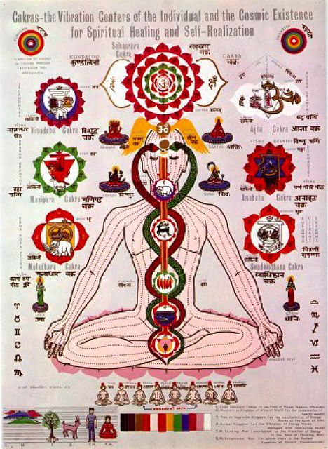 Chakras Hindu Diagram Arte Yoga, The Seven Chakras, Yoga Kundalini, Chakra Art, Picture Writing Prompts, Romance Covers, Spiritual Stuff, Spiritual Artwork, Seven Chakras