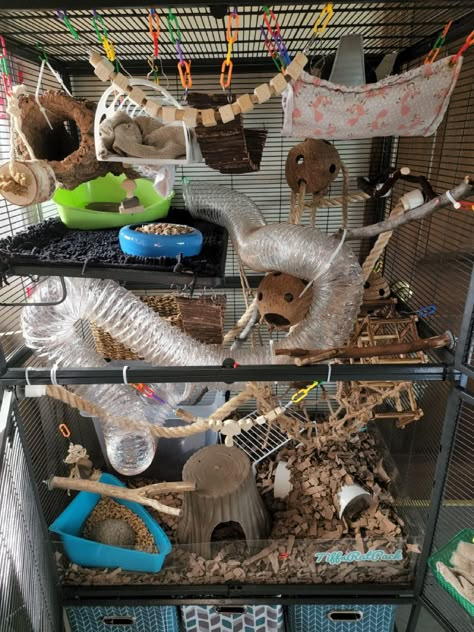 Rat Cages Diy, Homemade Rat Toys, Rat Toys Diy, Rat Enclosure, Rat Cage Ideas, Rat Enrichment, Rat Cage Diy, Diy Rat Toys, Pet Rat Cages