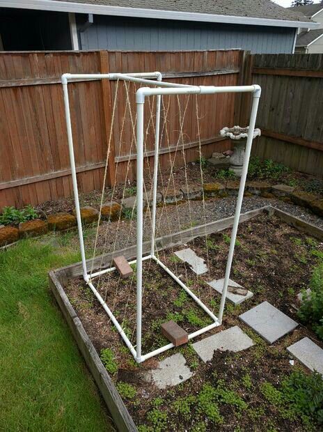 Pvc Trellis, Diy Garden Trellis Ideas, Privacy Screen Ideas, Garden Trellis Designs, Garden Trellis Ideas, Pvc Garden, Tomato Trellis, Cucumber Trellis, Diy Garden Trellis