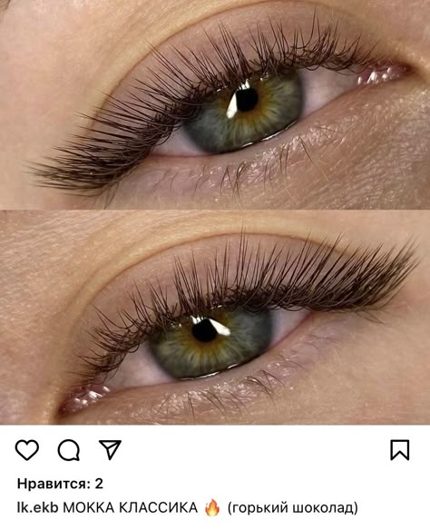 1d Lashes, Evening Eye Makeup, Eye Makeup Application, Beautiful Eyes Color, Perfect Eyelashes, Natural Eyelash Extensions, Eyelash Extentions, Brow Lash, Brown Hair Balayage