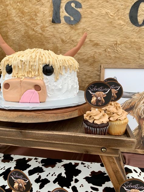 Bull Smash Cake, First Rodeo Smash Cake, Western Smash Cake, My First Rodeo Smash Cake, Rodeo Smash Cake, First Rodeo Birthday Cake, My First Rodeo Cake, Cowboy Cake, Baby Boy Birthday Themes