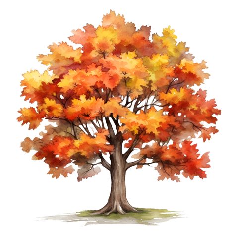 Fall Autumn Tree Watercolor Clipart AI Generated Trees Easy Drawing, Fall Clip Art Free, Fall Drawings, Fall Clip Art, Watercolor Paintings Nature, Fall Clipart, Tree Watercolor, Tree Clipart, Autumn Tree