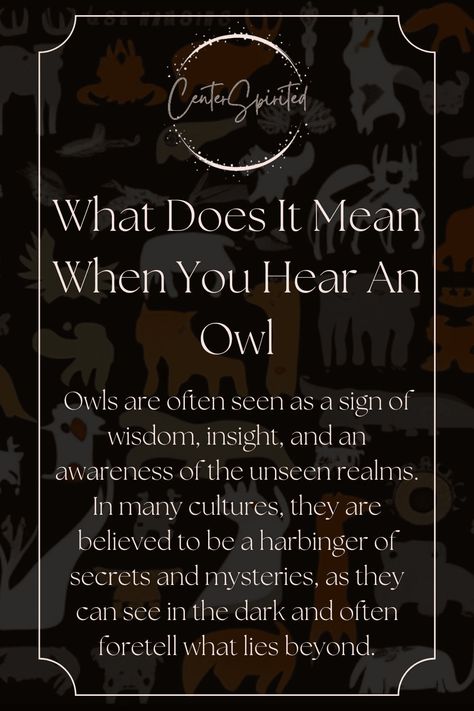 Hear an owl hooting outside your window? You might be wondering what it could mean. While owls have long been a symbol of wisdom and intelligence in m...https://centerspirited.com/animal-symbolism/what-does-it-mean-when-you-hear-an-owl/ Hearing Owls Meaning, Spiritual Meaning Of Owls, Spiritual Meaning Of Hearing Owls, Hearing An Owl Meaning Spiritual, Owl Hooting Meaning Spiritual, Owl Asthetic, Owl Meaning Spiritual, Animal Symbolism And Meanings, Owl Symbolism Meaning