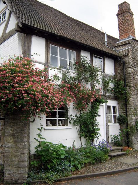 Honeysuckle House, Old House, Cottage, Architecture, History, Outdoor Decor, Plants, Books, Ruins