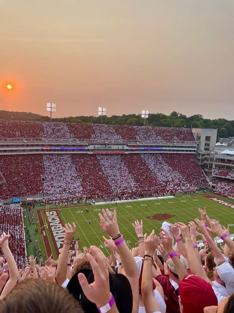 #arkansas #sunset #football #uark #college #sports Us College Aesthetic, Fayetteville Arkansas Aesthetic, College Sports Aesthetic, University Of Arkansas Aesthetic, Ou Aesthetic, Arkansas Aesthetic, College Football Aesthetic, Ou College, Football Game Aesthetic