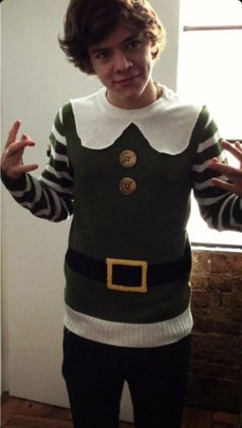 Harry Atyles, Jumper Aesthetic, Harry Brown, Harry Styles Aesthetic, Elf Costume, Harry Styles Wallpaper, Harry Styles Pictures, Harry Styles Photos, Mr Style