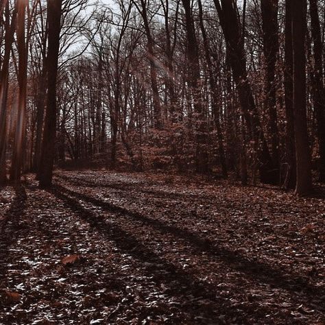 The Lost Sisters, Aesthetic Medieval, Air Aesthetic, Prince Aesthetic, The Wicked King, Aesthetic Character, Cardan Greenbriar, The Folk Of The Air, Jude Duarte