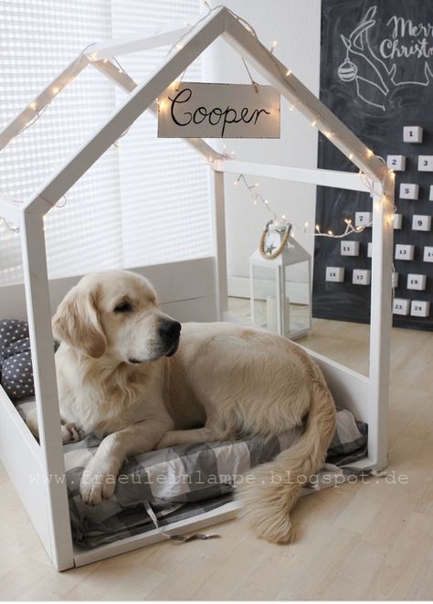 Dog Bedroom, Dogs Diy Projects, Dog House Diy, Diy Dog Bed, Casa Vintage, Dog Rooms, Dog Crafts, Dog Decor, Dog Kennel