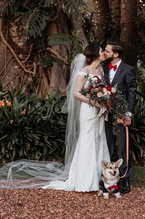 Corgi Wedding, Weeding Themes, Dream Marriage, Tan Wedding, Bridal Photographs, Japanese Wedding, Couples Walking, Parents Wedding, Wedding Pets