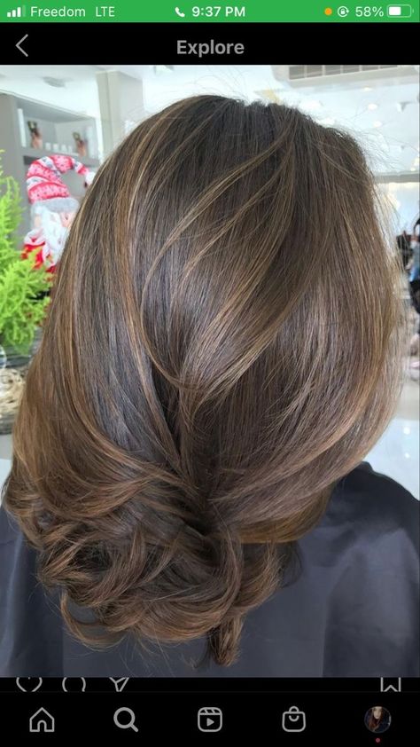 Natural Looking Highlights Brown Hair, Cabello Aesthetic, Deep Black Hair, Coffee Brown Hair, Brown Hair Inspiration, Hair Color Chocolate, Brown Hair Looks, Brown Hair Inspo, Hair Color Caramel