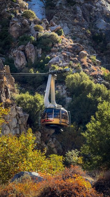 Asya • California • Travel & Lifestyle on Instagram: "Do you know that California has the world’s largest rotating tram car? 🚡 Yes, it is in Palm Springs! 📍𝗣𝗮𝗹𝗺 𝗦𝗽𝗿𝗶𝗻𝗴𝘀 𝗔𝗲𝗿𝗶𝗮𝗹 𝗧𝗿𝗮𝗺𝘄𝗮𝘆. 🚡 The tramway goes 2 miles up to the wilderness of the 𝗠𝘁. 𝗦𝗮𝗻 𝗝𝗮𝗰𝗶𝗻𝘁𝗼 𝗦𝘁𝗮𝘁𝗲 𝗣𝗮𝗿𝗸. 🏔 The top station is located on the elevation 8,516 feet. 🏔 At the top there are two restaurants, observation decks and hiking trails. Best trails to take: 1. Easy: 𝗗𝗲𝘀𝗲𝗿𝘁 𝗩𝗶 Palm Springs Aerial Tramway, Easy Desert, Aerial Tramway, Palm Spring, Sierra Nevada Mountains, San Jacinto, Yes It Is, Sierra Nevada, California Travel