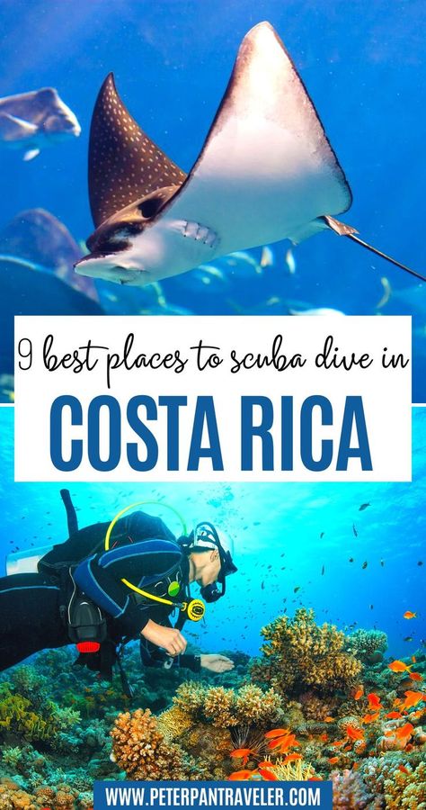 9 Best Places to Scuba Dive in Costa Rica Scuba Diving Costa Rica, Costa Rica Diving, Coata Rica, Cost Rica, Costa Rica Adventures, Outdoor Adventure Activities, Costa Rica Beaches, Nature Destinations, Waterfall Wedding