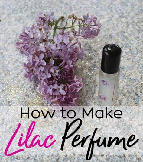 If you like the smell of lilac, you will love this DIY perfume with essential oils! Learn how to make lilac perfume in just a few minutes! It smells so good you won't want to wear anything else! Lilac Essential Oil, Perfume With Essential Oils, Lilac Perfume, Diy Toiletries, Amber Spray Bottle, Coconut Milk Shampoo, Homemade Perfume, Lavender Perfume, Salve Recipes