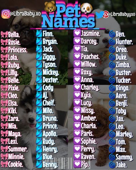 Aesthetic Names For Dogs, Cute Pet Names Animals, Aesthetic Pet Names, Name For Pets, Good Dog Names, Name For Dogs, Names For Animals, Names For Pets, Cat Names Aesthetic