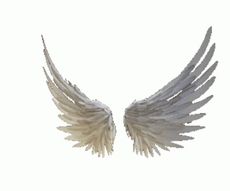 Kate Wings Sticker - Kate Wings Fly - Discover & Share GIFs Angel Wings Gif, Fairy Wings Aesthetic, Emo Gif, Myspace Emo, Angel Gif, Wings Sticker, Wings Png, Angel Wings Art, Duck Wallpaper