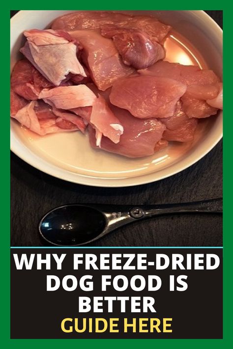 Freeze Dry Dog Food, Freeze Dried Raw Dog Food, Diy Dehydrated Dog Food, Freeze Dried Dog Food Recipe, Freeze Dried Dog Treats Recipes, Puppy Breeding, Freezing Produce, Freeze Drier, Freezing Recipes