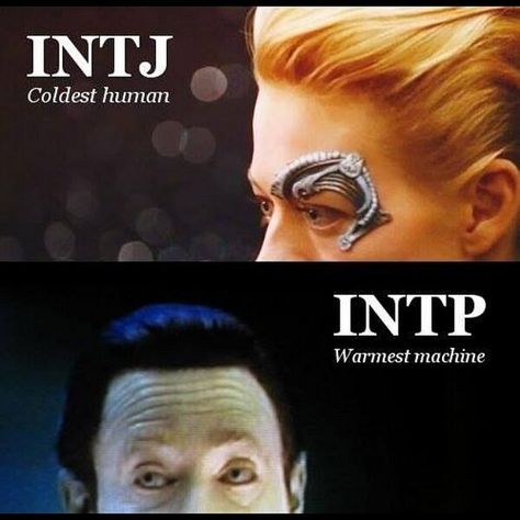 Warmest Machine ... I Am A Unicorn, Intp Personality Type, Intj And Infj, Intp T, Intp Personality, Intj Intp, Intj Personality, Myers Briggs Personality Types, Myers–briggs Type Indicator