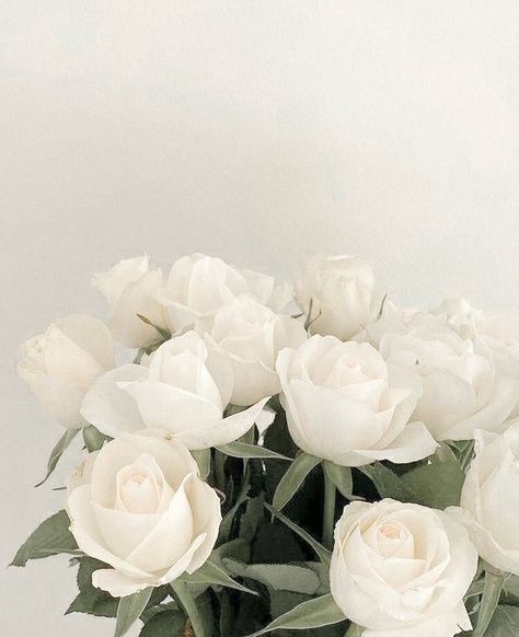 Widget Board, Photo Widget, Skin Aesthetics, Ipad Aesthetic, Icon White, Widget For Iphone, Cream Aesthetic, Nothing But Flowers, Flower Therapy