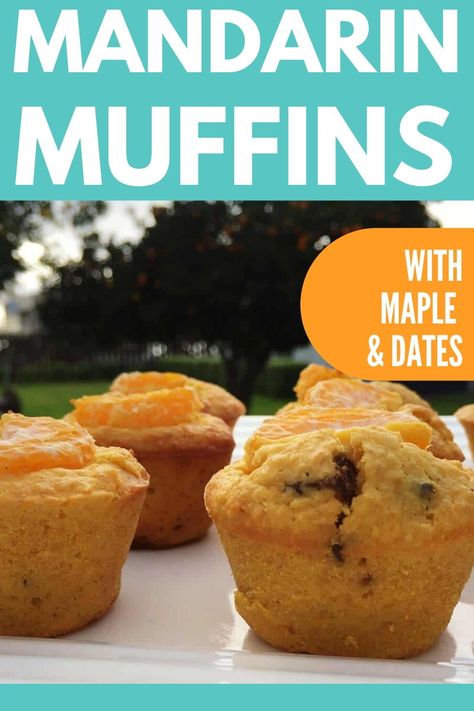 Mandarin season is here! This mandarin muffin recipe with dates is the perfect way to use them up! A recipe that is lower in sugar and full of fruit and flavor! #muffins #mandarin #orange #snack #recipe #dessert #breakfast Mandarins Recipes, Mandarin Muffins, Muffins With Dates, Mandarin Recipes, Recipe With Dates, Assorted Muffins, Mandarine Recipes, Lunchbox Snacks, Date Muffins